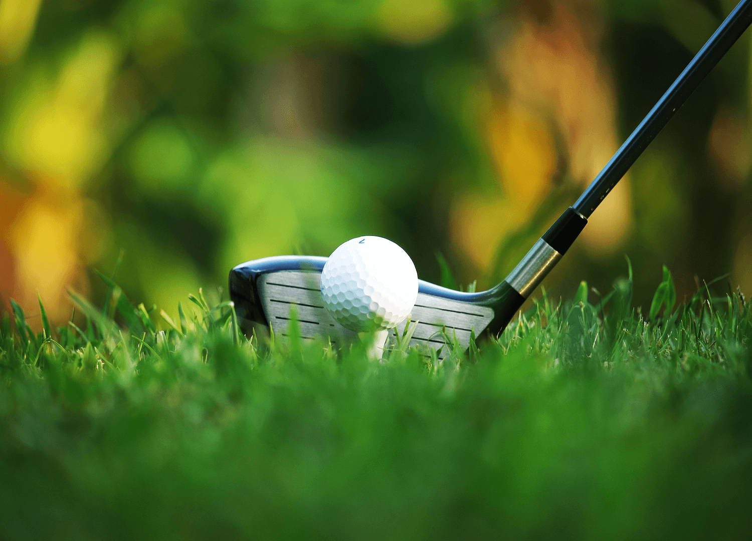 Sports and Recreation